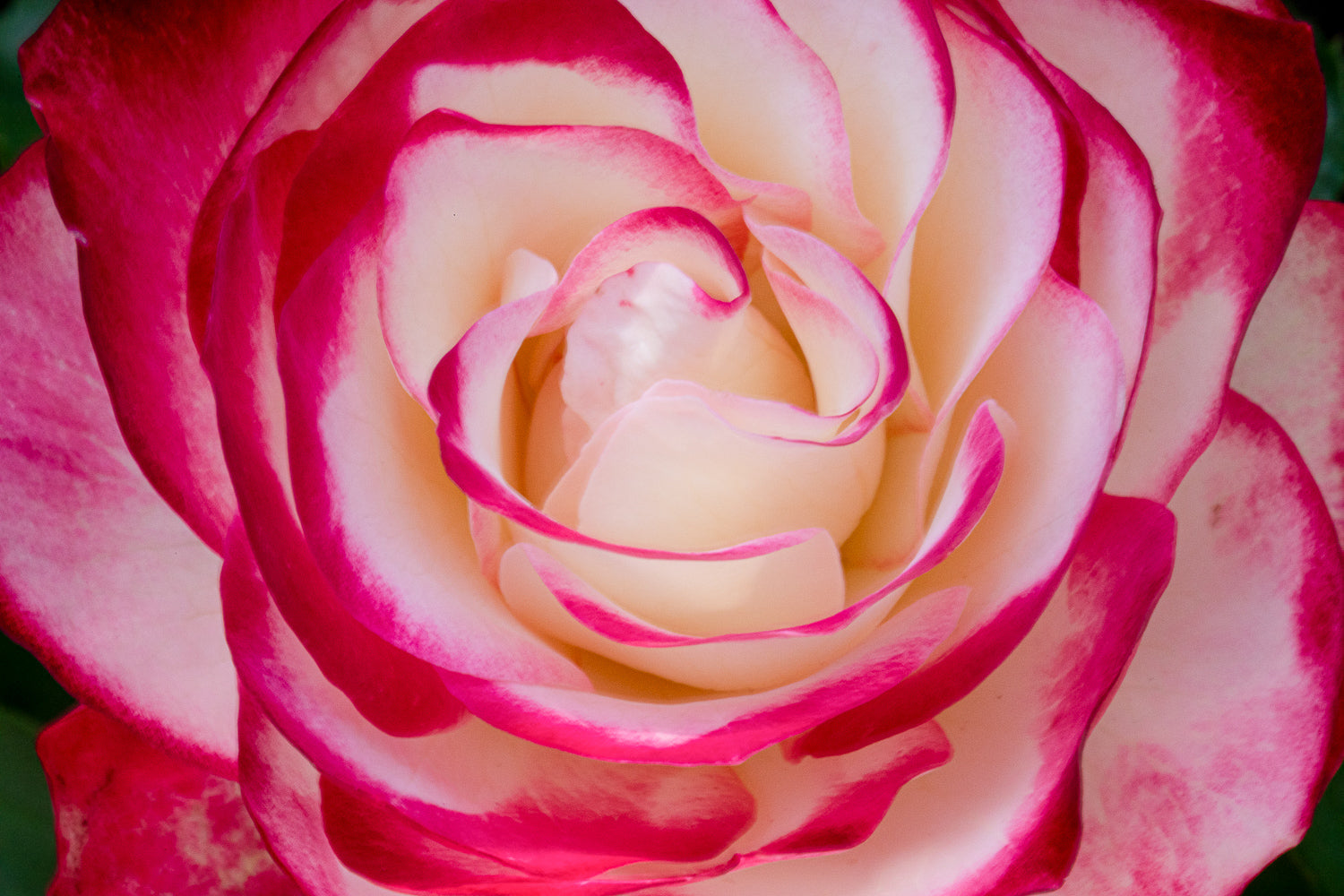 Macro