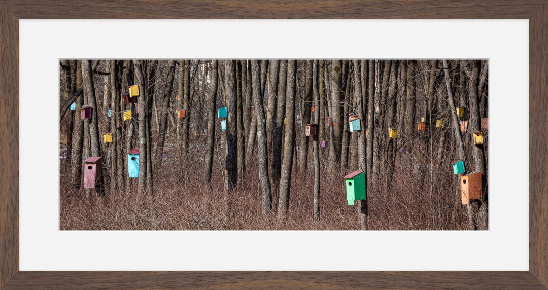 Birdhouse Forest