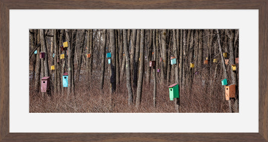 Birdhouse Forest