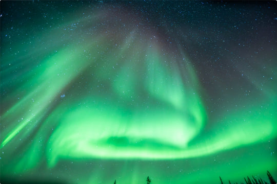 Aurora in Green