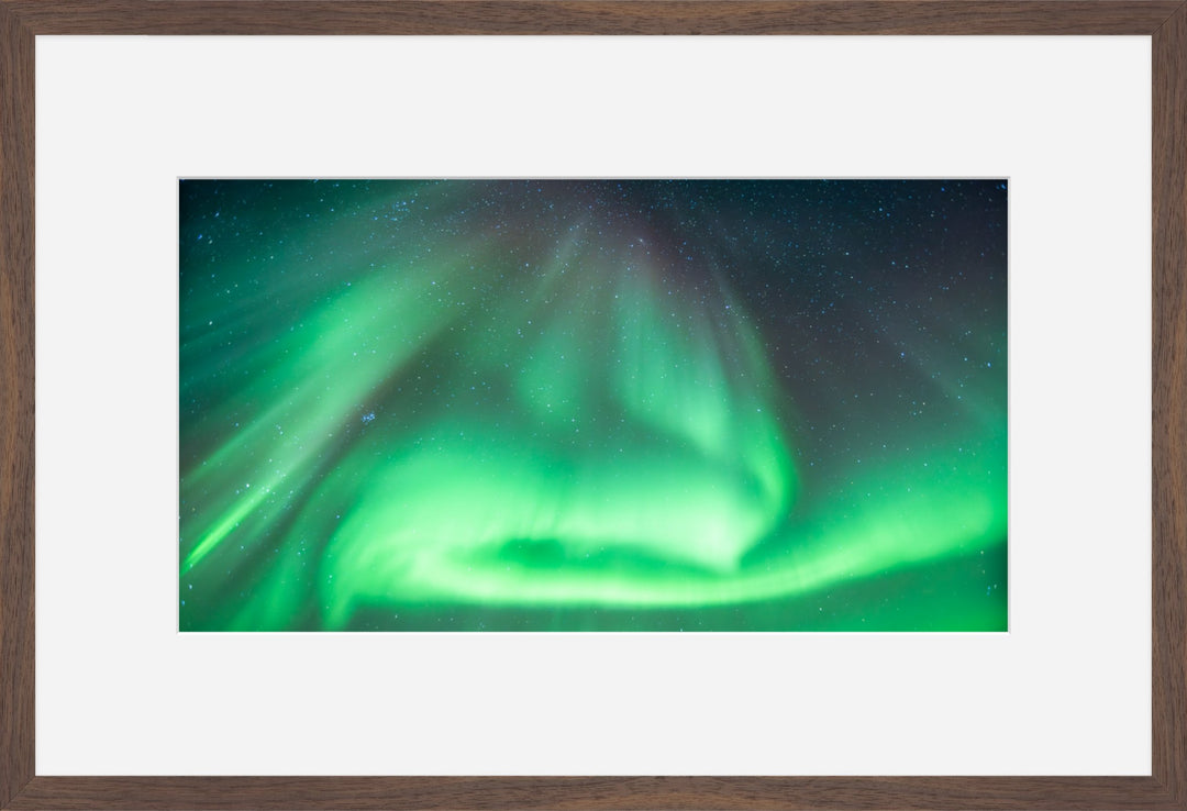 Aurora in Green