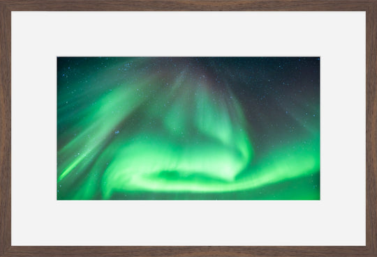 Aurora in Green