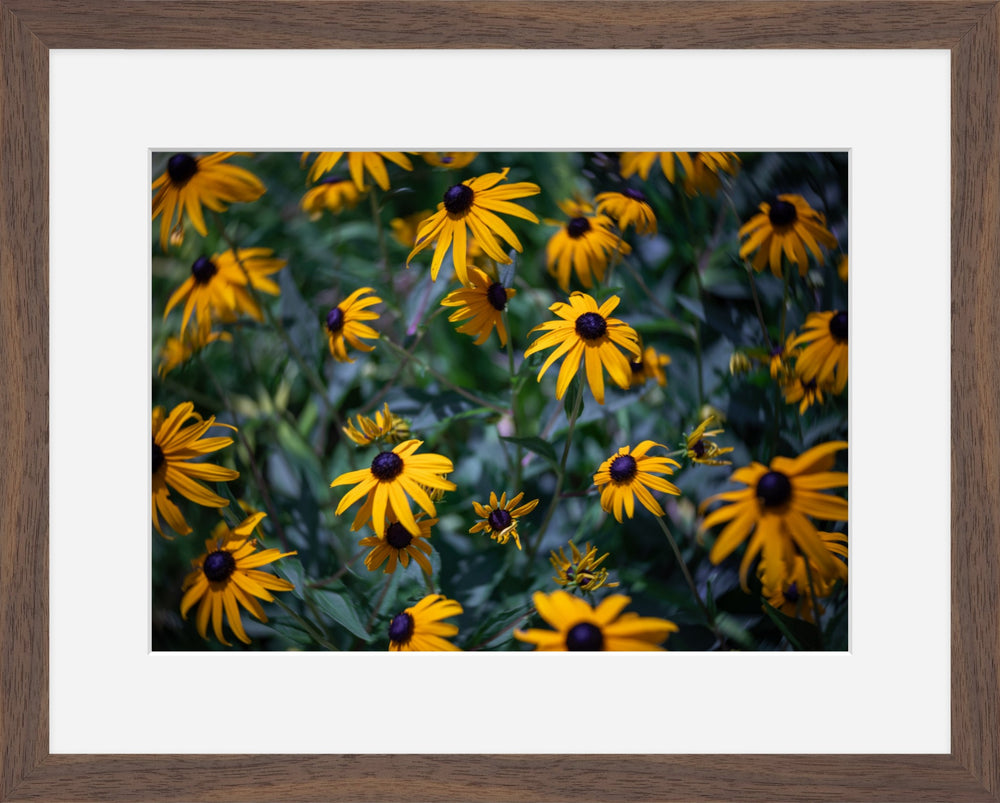 A Swirl of Yellow