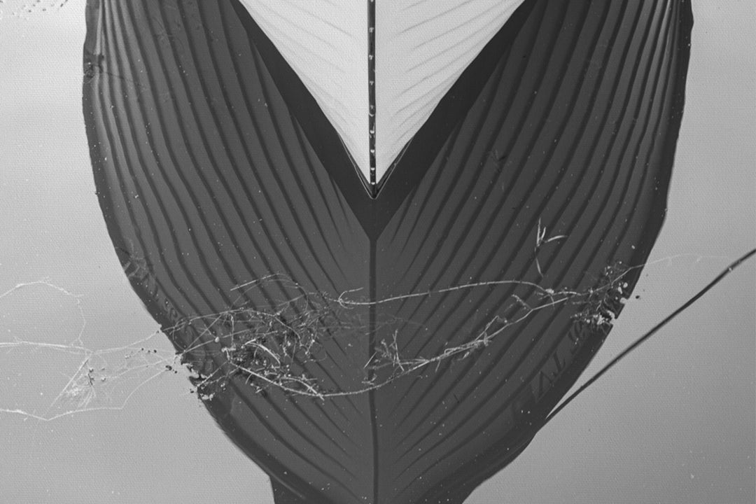 Boat Reflection