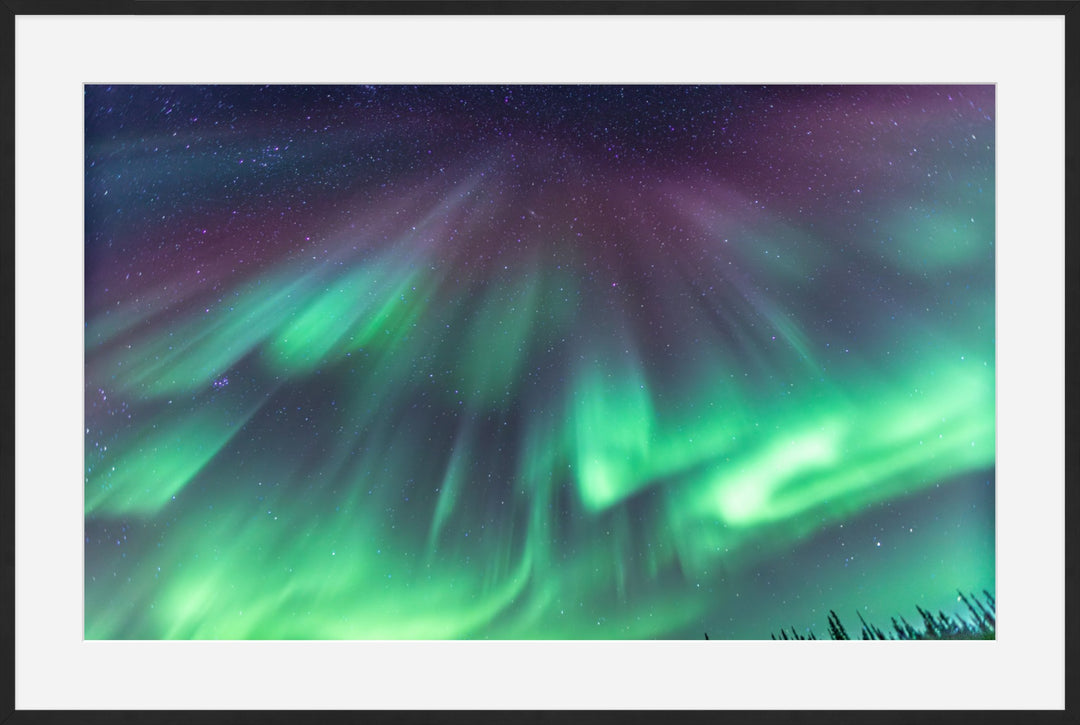 Curtains of Light