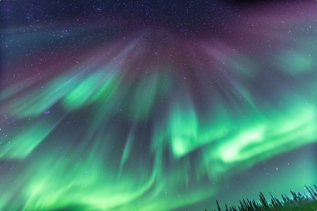 Curtains of Light