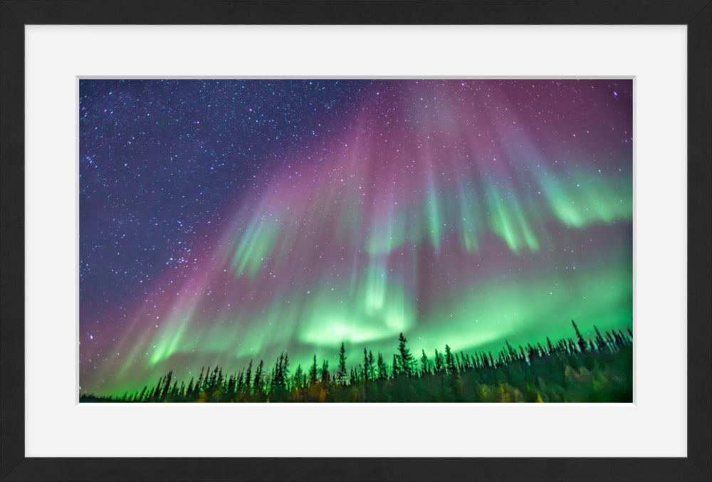 Curtains of Northern Lights