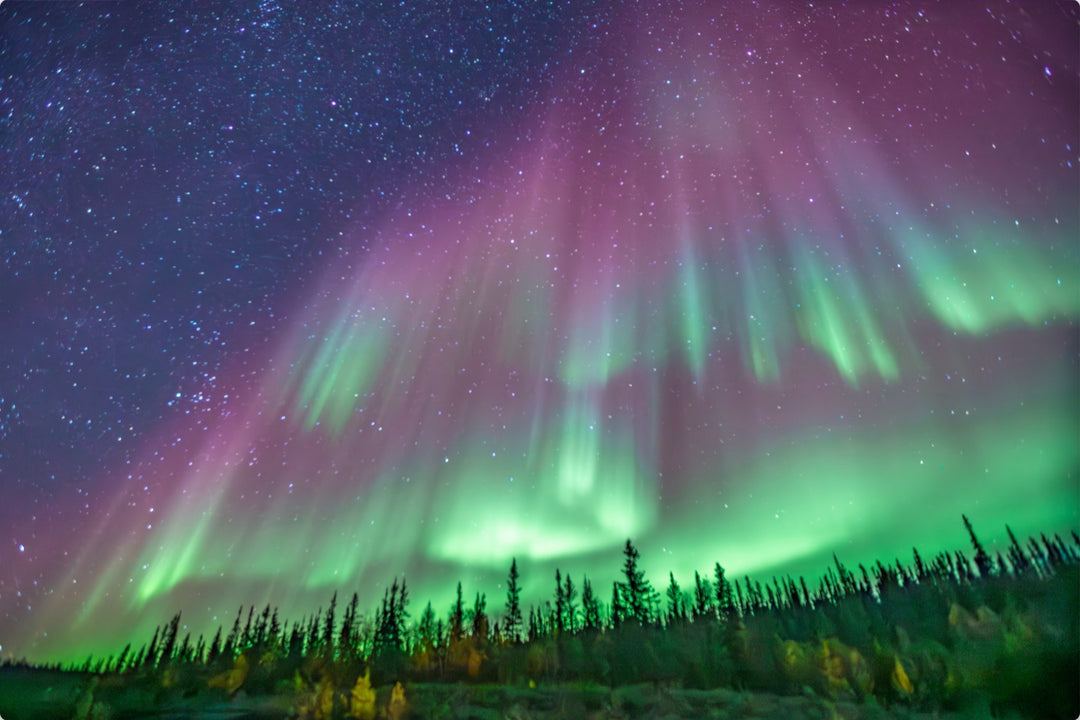 Curtains of Northern Lights