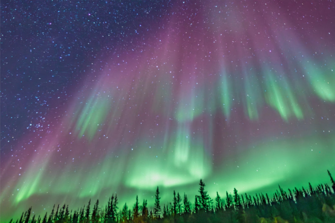 Curtains of Northern Lights
