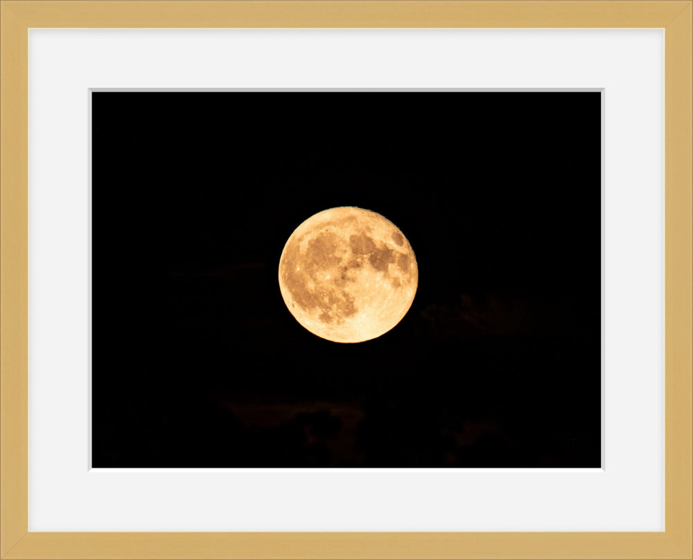 Full Moon