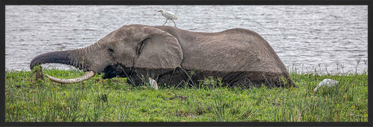 Hitching a Ride