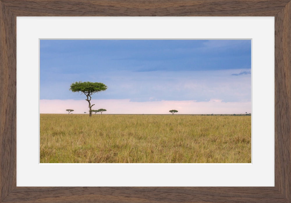 Kenya Savannah