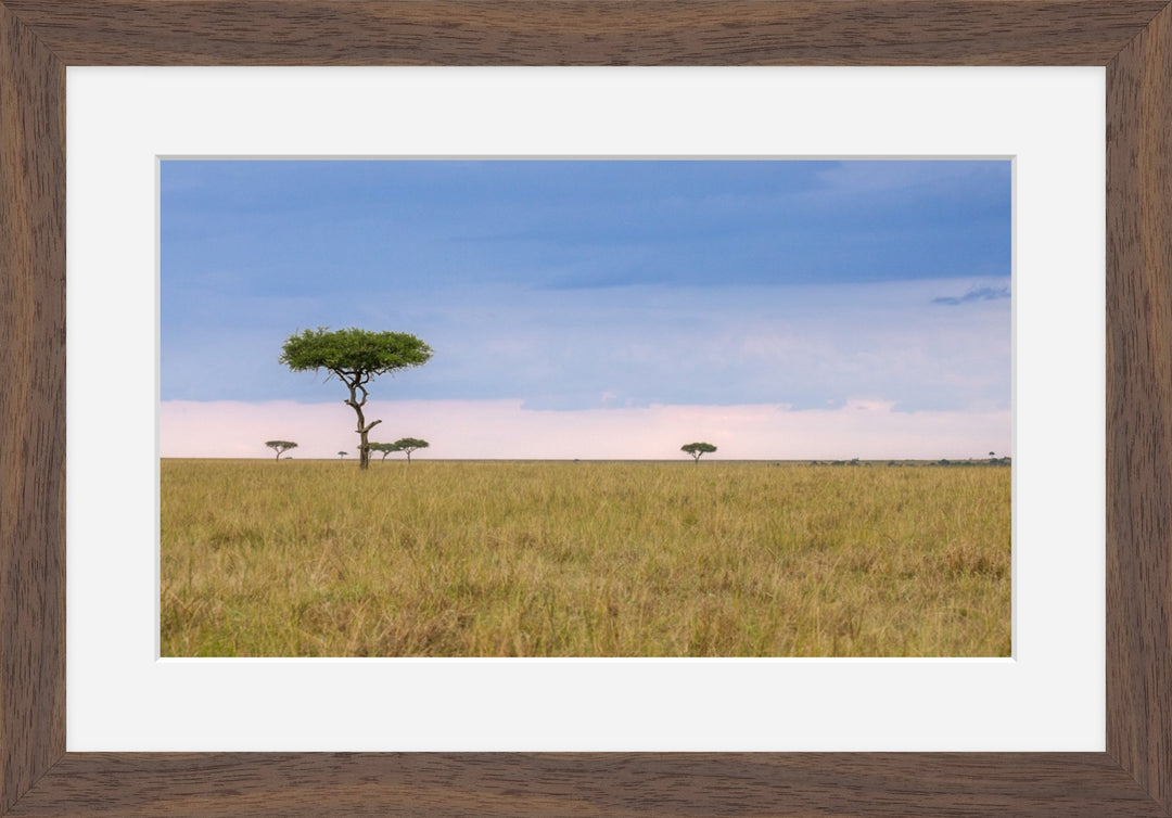 Kenya Savannah