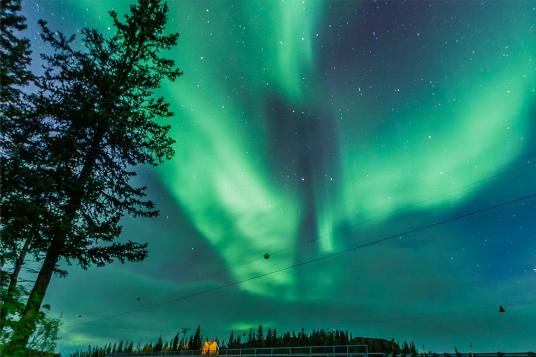 Light Show in Green