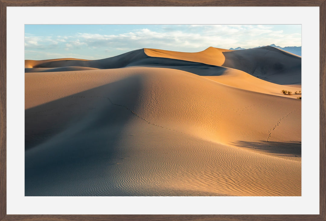 Mesquite Dunes