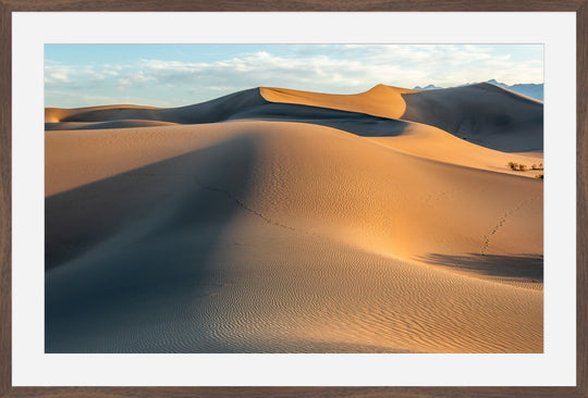 Mesquite Dunes