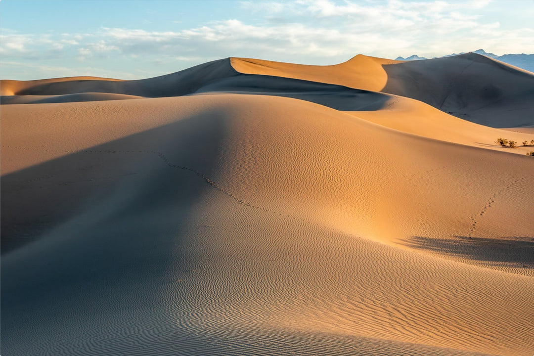 Mesquite Dunes