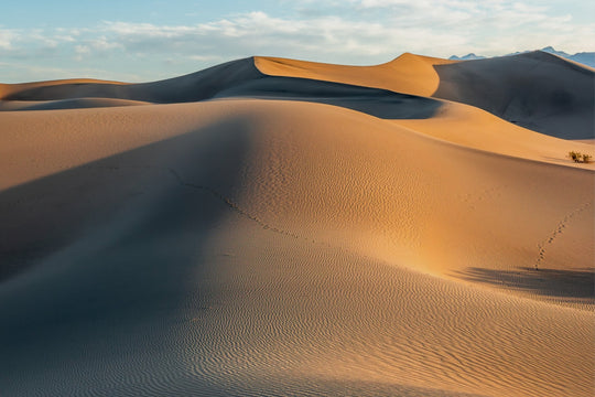 Mesquite Dunes