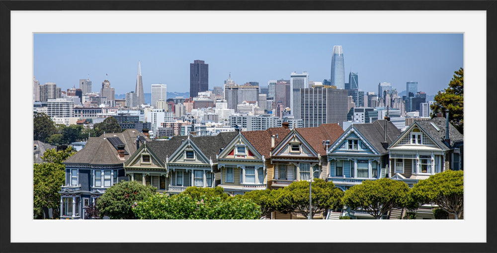 Painted Ladies