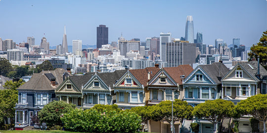 Painted Ladies