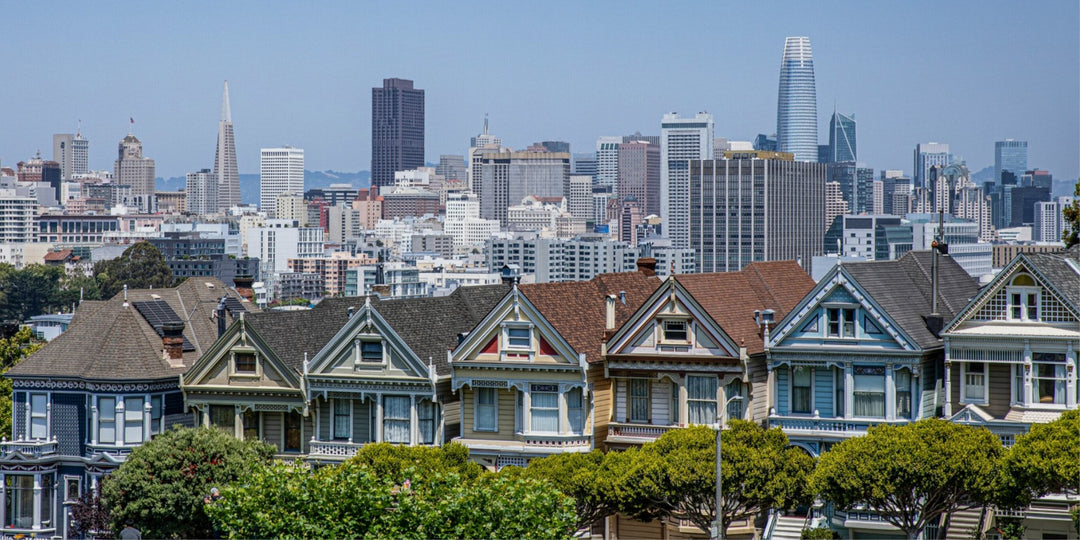 Painted Ladies