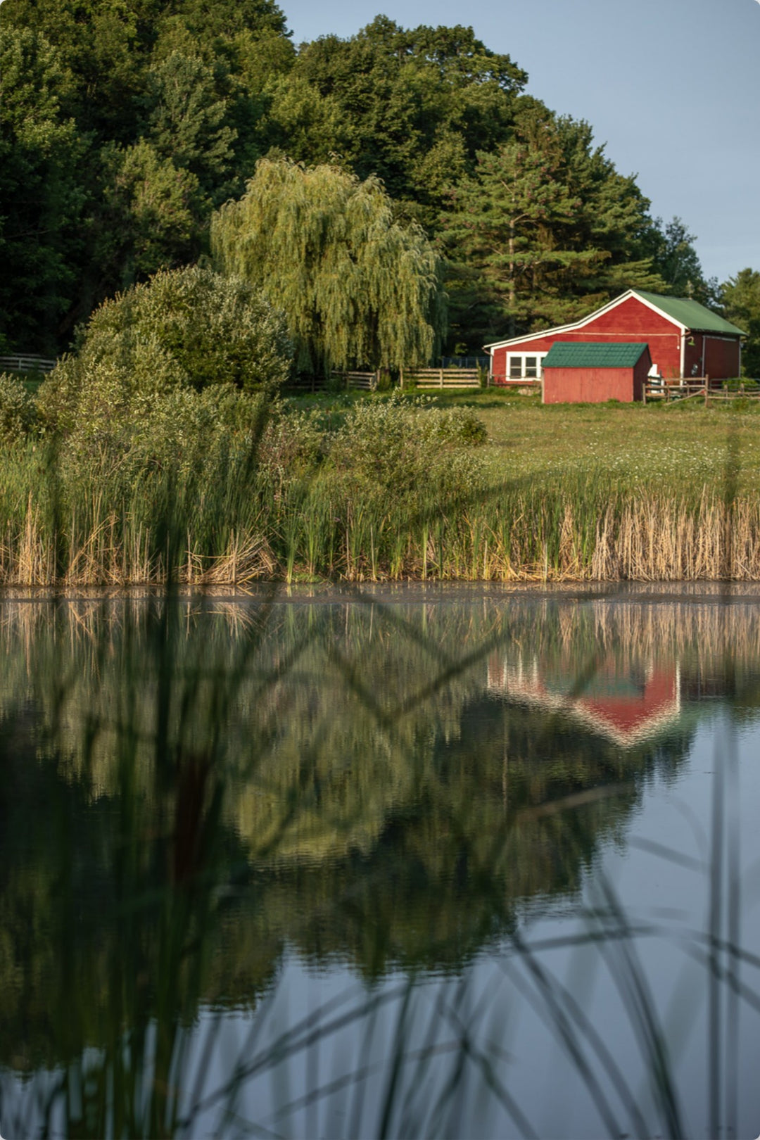 Red Barn at Sunrise