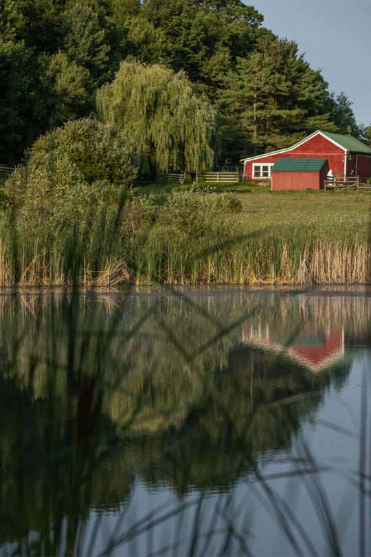 Red Barn at Sunrise