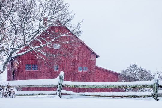 Red Barn in Winter