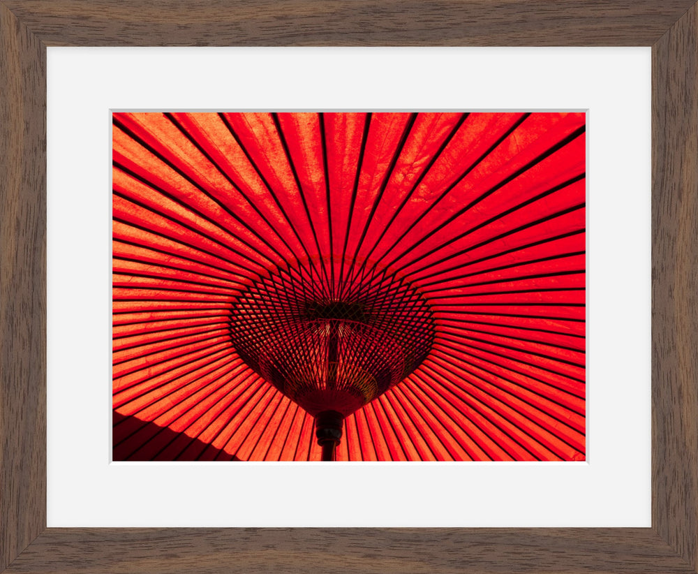 Red Umbrella
