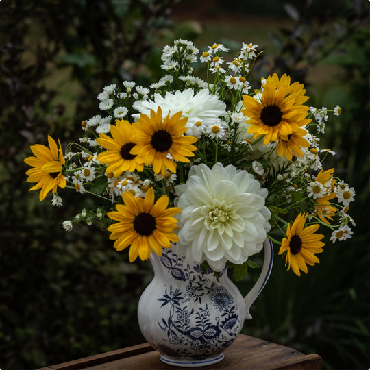 Still Life of Flowers in Vase