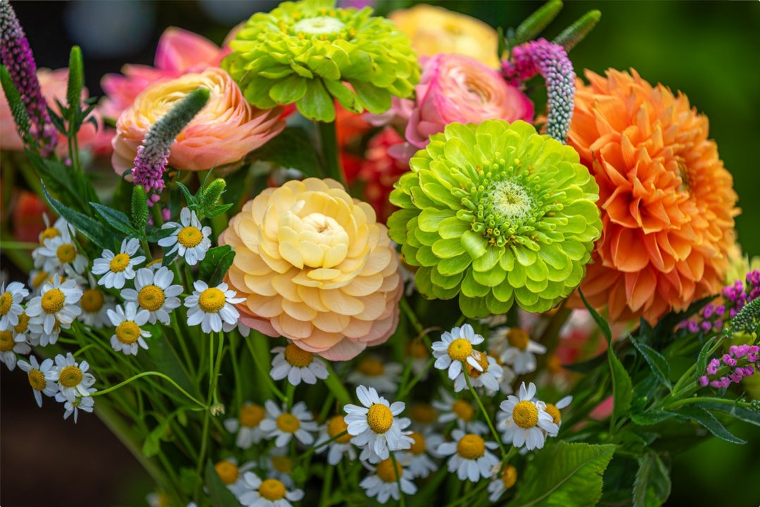 Summer Bouquet
