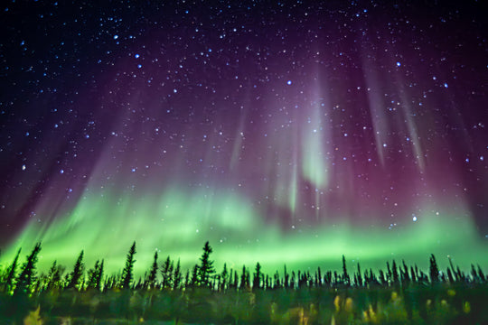 Curtains of Northern Lights