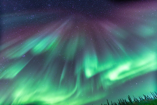 Curtains of Light