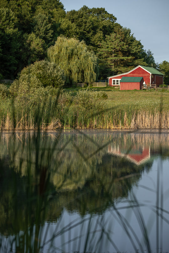 Red Barn at Sunrise