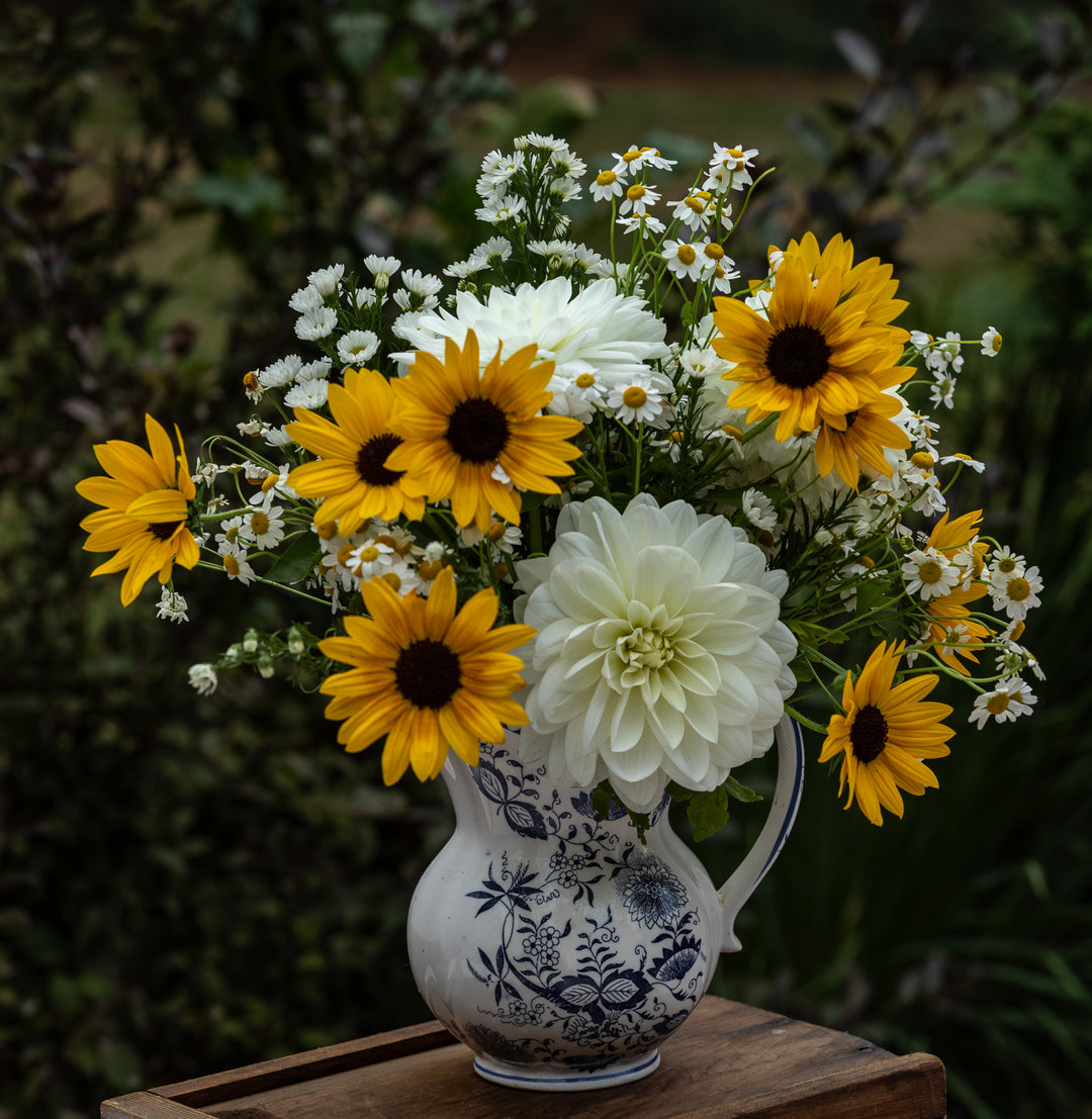 Still Life of Flowers in Vase