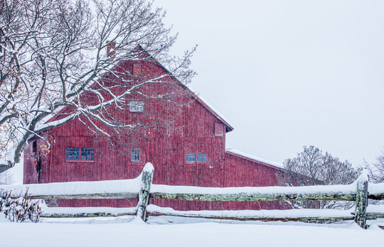 Red Barn in Winter