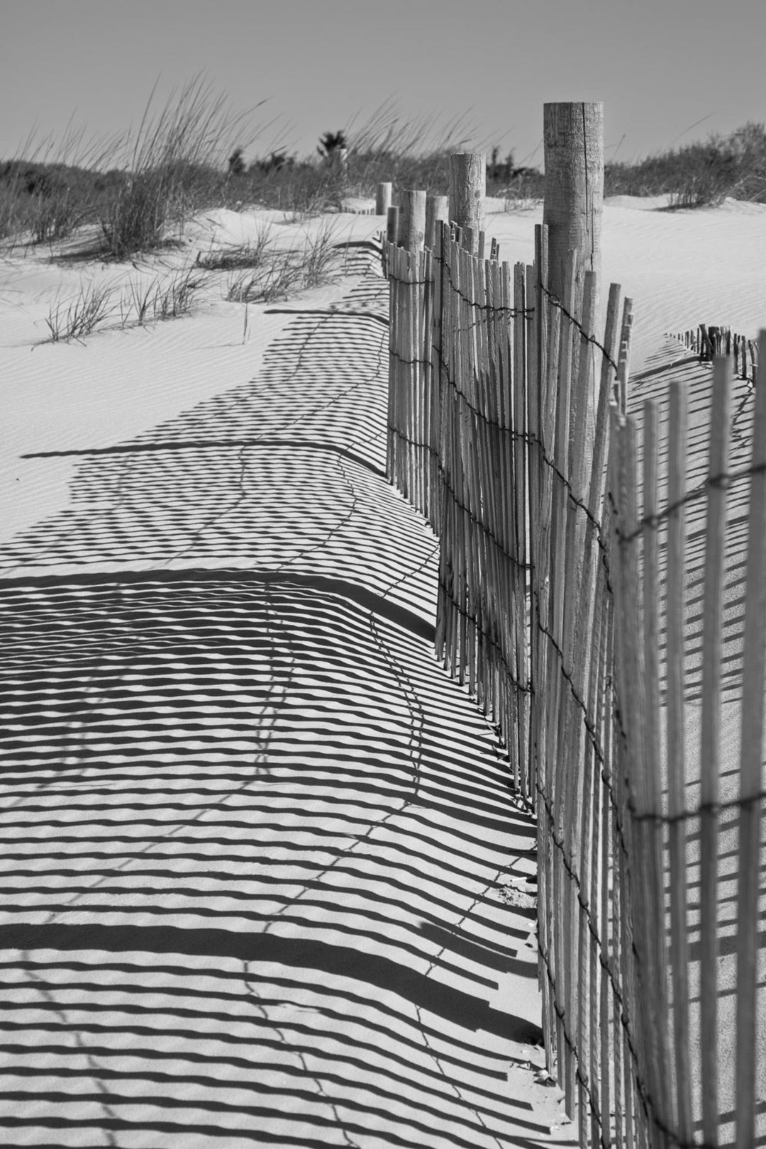 Fenceline