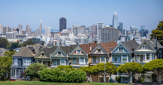 Painted Ladies