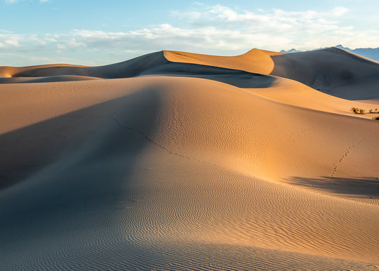 Mesquite Dunes