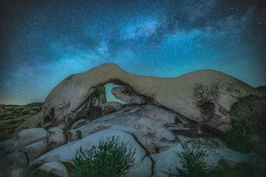 Elephant Rock